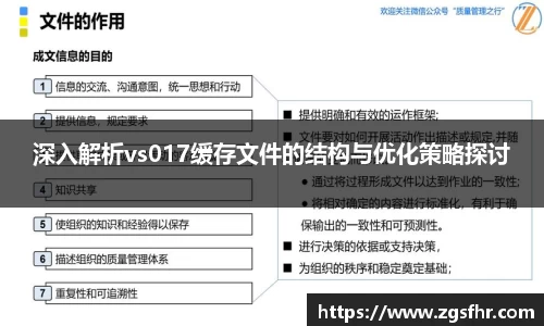 深入解析vs017缓存文件的结构与优化策略探讨